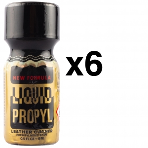 BGP Leather Cleaner PROPYL LIQUIDO 15ml x6