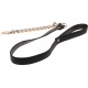 Dona Taboom Gold collar and lead
