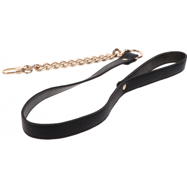 Dona Taboom Gold collar and lead
