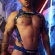 HYBRED BODY HARNESS Blue