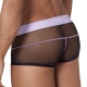 Tronco jorobado transparente Negro-Violeta