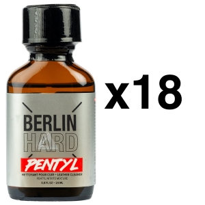 BGP Leather Cleaner BERLIN HARD Pentyl 24ml x18