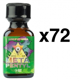 META PENTYL 24ml x72