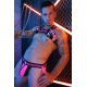 Breedwell Daycrawler Harness Black-Pink