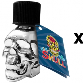 FL Leather Cleaner MINI SKULL QUICK PLATA 15ml x18