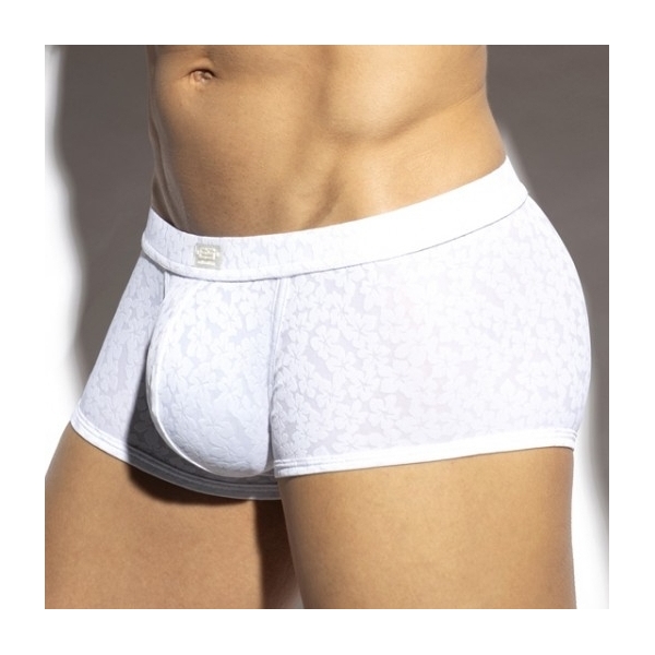 Boxer Daisy Flower White