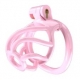 Chastity cage Tortille S 6 x 3.4 cm Pink