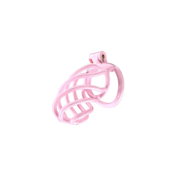 Tortille Keuschheitsgürtel B 9.5 x 3.4 cm Pink