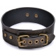 Vintagy collar-leash