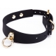 Lujoso collar de plomo dorado