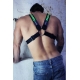 Soundwave Light Harness Cross Breedwell