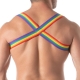 Rainbow Shoulder Harness TOF Paris