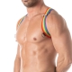 Rainbow Shoulder Harness TOF Paris