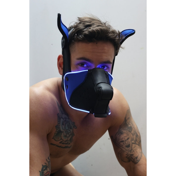 Poundtown Pup Breedwell Maschera nero-blu