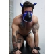 Masque Poundtown Pup Breedwell Noir-Bleu