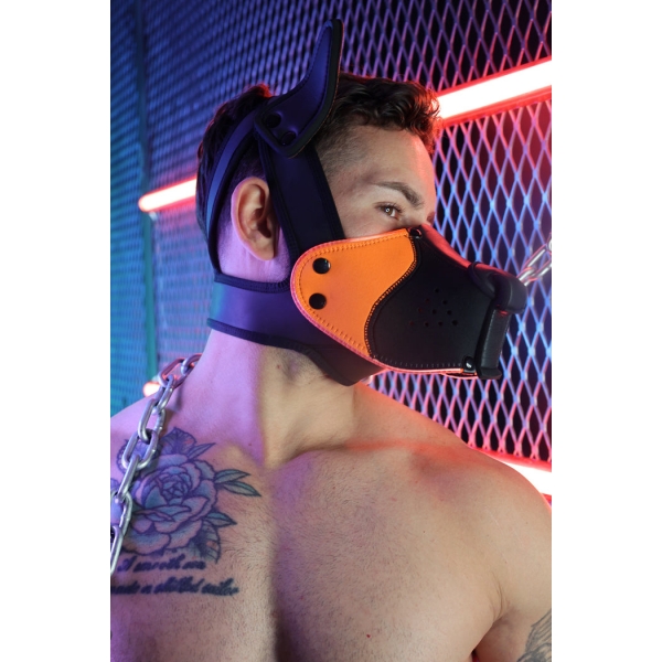 Poundtown Pup Breedwell Maske Schwarz-Orange