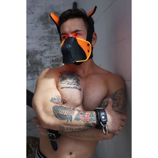 Poundtown Pup Breedwell Maske Schwarz-Orange