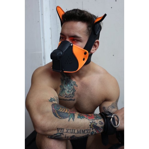 Poundtown Pup Breedwell Maschera nero-arancio