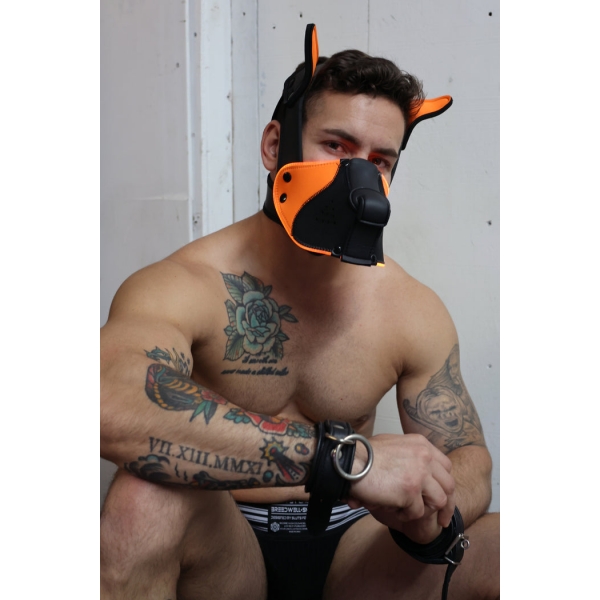 Poundtown Pup Breedwell Maske Schwarz-Orange