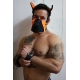 Poundtown Pup Breedwell Mask Black-Orange