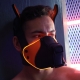 Masque Puppy POUNDTOWN PUP Breedwell Noir-Orange
