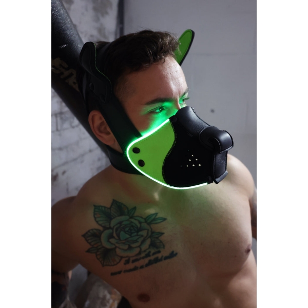 Poundtown Pup Breedwell Maschera nero-verde