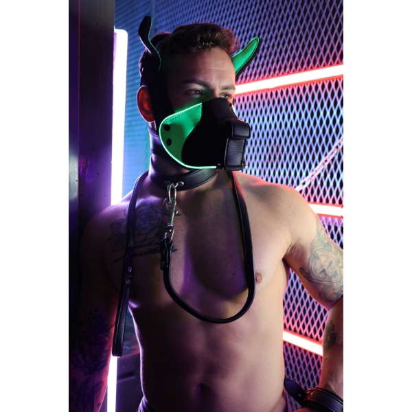 POUNDTOWN PUP MASK 2.0 Neon Green