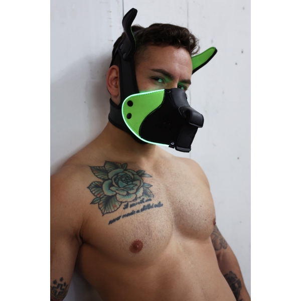 Poundtown Pup Breedwell Maschera nero-verde