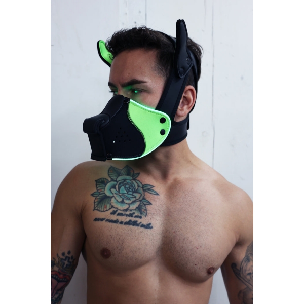 Poundtown Pup Breedwell Maske Schwarz-Grün