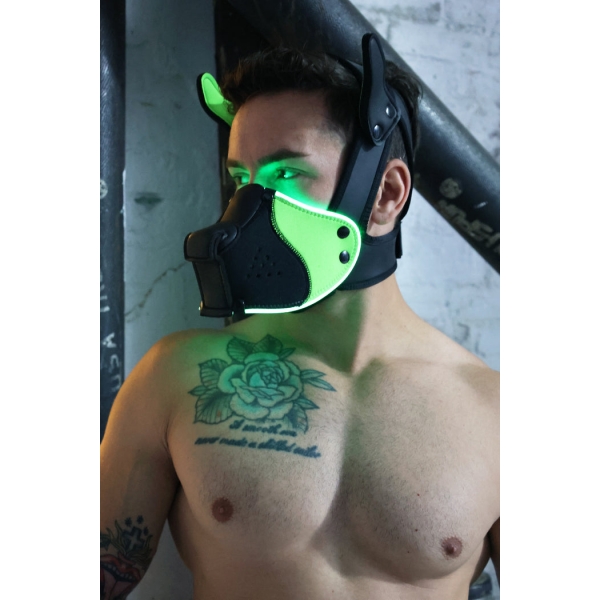 Poundtown Pup Breedwell Maschera nero-verde