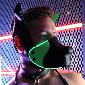 Poundtown Pup Rasmasker Zwart-Groen