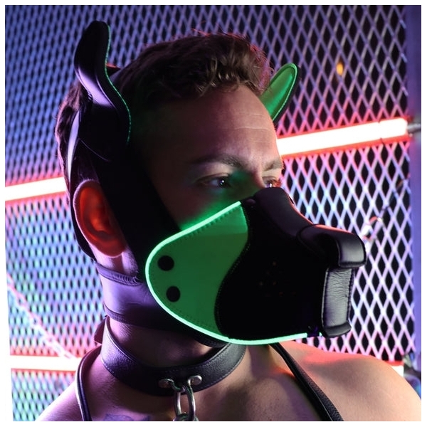 Poundtown Pup Breedwell Maschera nero-verde