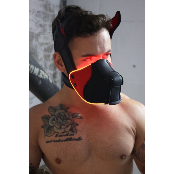 Poundtown Pup Breedwell Maschera nero-rossa