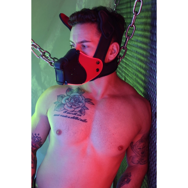 Poundtown Pup Breedwell Maske Schwarz-Rot