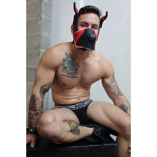 POUNDTOWN PUP MASK 2.0 RED