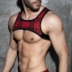 Laddie Ring Harness Red