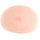 A Faux breast prosthesis B cup