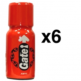 Men's Leather Cleaner  GATE 15ml x6