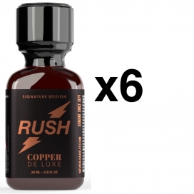 BGP Leather Cleaner LUXURY RUSH COPPER 24ml x6