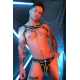 Equalizer Harness Black-Green neon