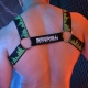 Equalizer Harness Black-Green neon