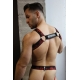 EQUALIZER HARNESS Red