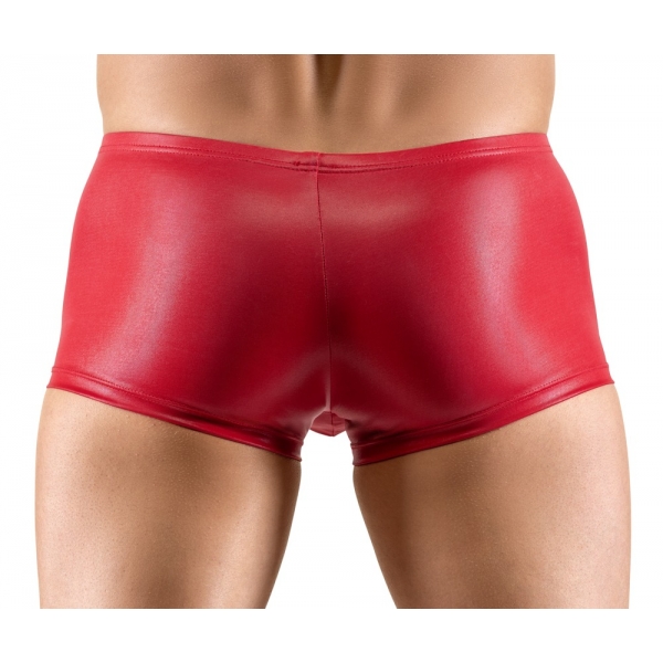 Boxer Terio Rosso