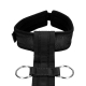 SM Restraints with Collar and Handcuffs Restraint