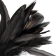 Plumeau FEATHER TICKLER 20cm Noir