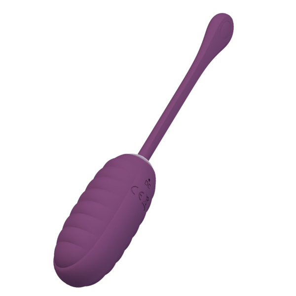 Casper Huevo Vibrador Conectado Inalámbrico 8 x 3,5cm Morado