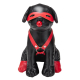 Faux Dog Bandit 24cm Negro