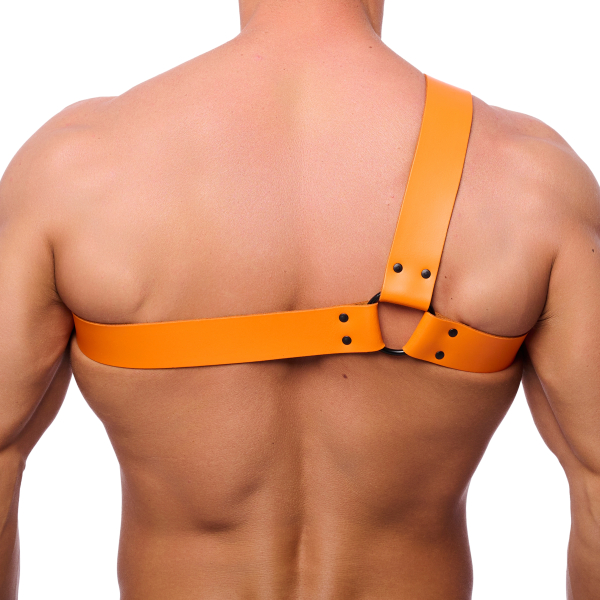 Half Orange leather harness