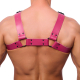 THE RED  HARNESS BLACK/PINK