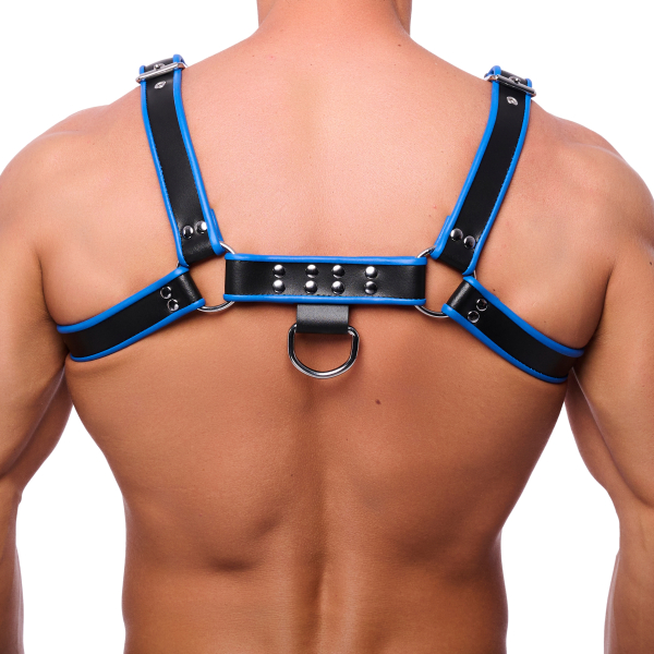 Blue-Black Premium Leather Harness